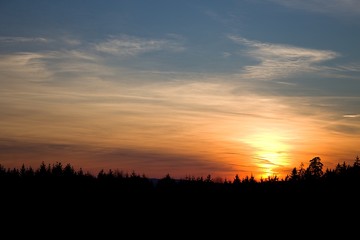 Fototapeta na wymiar Sunset over the forest