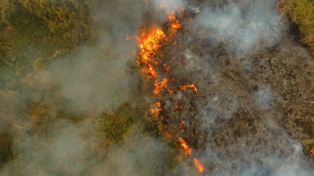 Aerial view forest fire on the slopes of hills and mountains. Forest and tropical jungle deforestation for human food farming and export. large flames from forest fire. Using fire to destroy natural