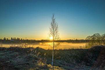 Sunrise in the village and the tree, Russia, Vladimir region