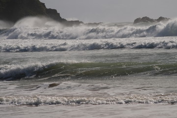 Australien Coffs Harbour 3