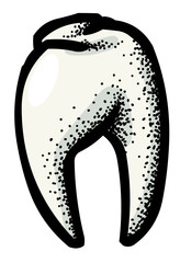 Cartoon image of Tooth Icon. Dentistry symbol. An artistic freehand picture.