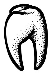 Cartoon image of Tooth Icon. Dentistry symbol. An artistic freehand picture.