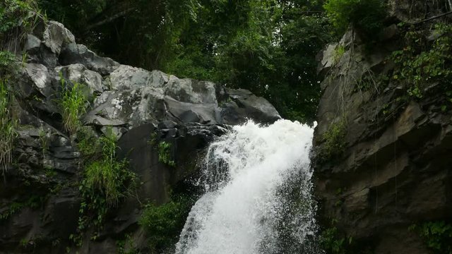 Waterfall in jungle of Selva Negra