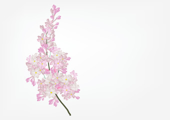 Naklejka na ściany i meble Lilac flowers bouquet on white background