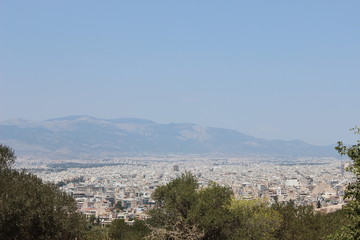 Obraz premium Mountains garden animals ocean open space Tourism oranges happiness