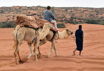 Camel riding in the desert