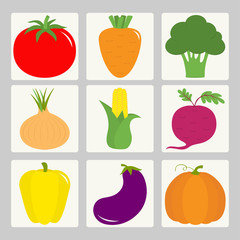 Vegetable icon set. Tomato, pepper, carrot, broccoli, onion, sweet corn, beet, eggplant, aubergine, pumpkin. Fresh farm healthy food. Education card for kids. Flat design. White background. Isolated.