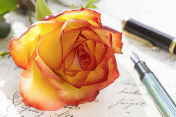 Rose Rosen alte Schrift 