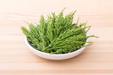  fresh field horsetail /  fresh field horsetail