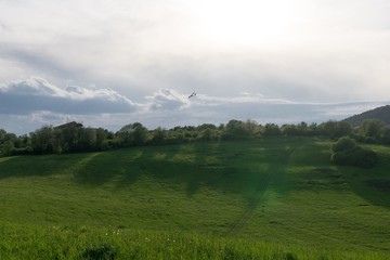 Green meadow with trees and views to mountains. Slovakia