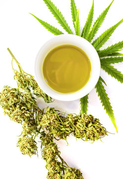 Cannabis (marijuana, Hemp) Oil Isolated On White Background