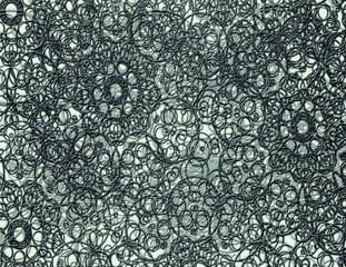 abstract carved ornament background