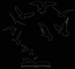 seagulls flying above open book outline on black