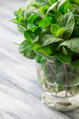 Fresh mint leaves herb. selective focus, copy space