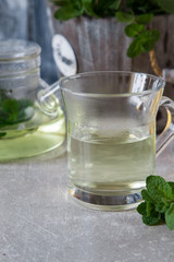 Mint tea with fresh mint leaves. selective focus, copy space