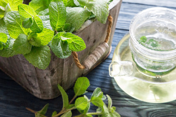 Mint tea with fresh mint leaves. selective focus, copy space