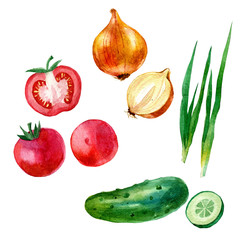 Watercolor illustration, set, image of vegetables, tomato and tomato slices, onion, cucumber and cucumber slices