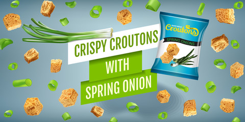 Vector realistic illustration of croutons with spring onion. - obrazy, fototapety, plakaty