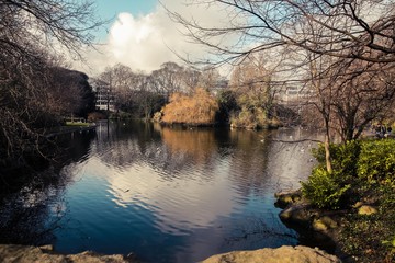 park lake birds dublin