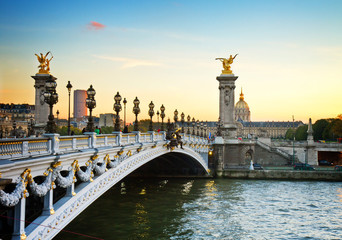 Fototapeta na wymiar Bridge of Alexandre III at sunset in Paris, France, retro toned