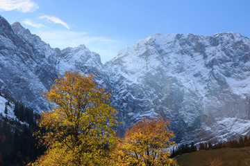 Colorful autumn in Alps