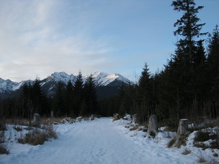 Fototapeta premium Snowy road among the high mountains