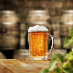 beer 
