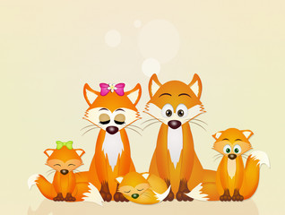 family of red foxes