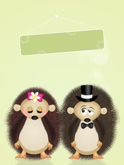 Marriage of hedgehogs