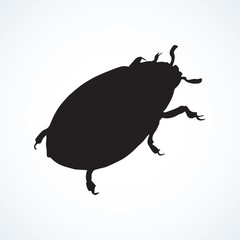 Beetle. Vector drawing