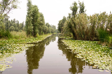 Through the canals in Xochimilco