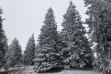 Winter in der Schweiz