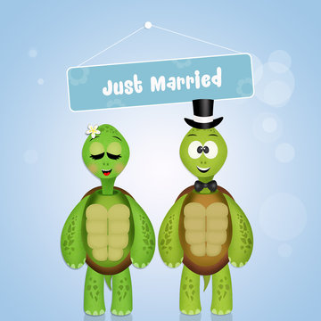 Wedding of turtles