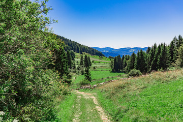 Looking Down A Mountain Pathway