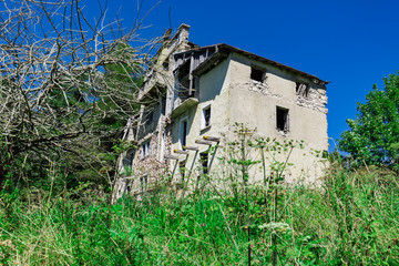 Nature Reclaiming An Old Farm House