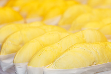 Durian best street fruit