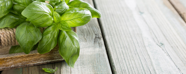 Fresh organic green basilic leaves on a wooden table. for healthy cooking, herbs and spices concept...