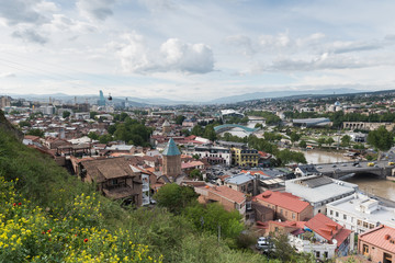 Obraz premium Panoramic view of Tbilisi city with spring flowers