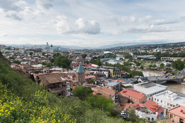 Fototapeta na wymiar Panoramic view of Tbilisi city with spring flowers