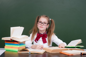 Girl with books preparing for the exam
