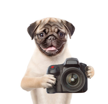 Dog photographer taking pictures. isolated on white background