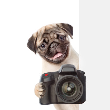 Dog taking a picture behind a placard. isolated on white background