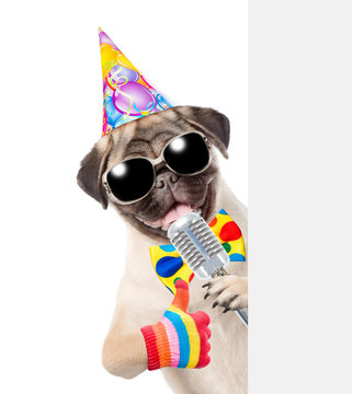 Dog in birthday hat holds retro microphone and peeking from behind empty board. isolated on white background