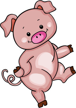 Cute pink pig
