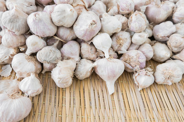 garlic group background