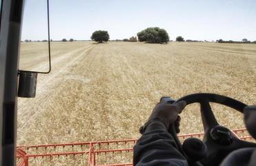 Cosecha de cereales