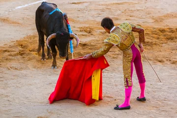 Gordijnen Matador and bull in tourada bullfight - Moita Lisbon Portugal © Nikolai Sorokin