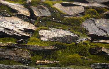 Fototapeta na wymiar Moss invades a stone wall
