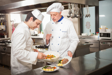 Fototapeta na wymiar Chefs preparing a dish in a kitchen