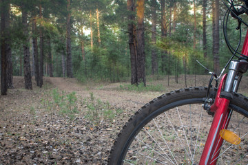 Fototapeta na wymiar Mountain bike ready to go on a trail in the woods with sunrise background.